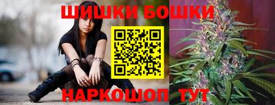 дживик Кингисепп
