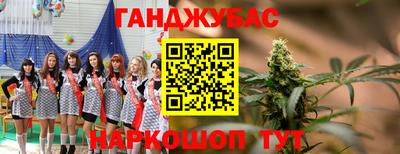 дживик Кингисепп