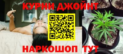 дживик Кингисепп