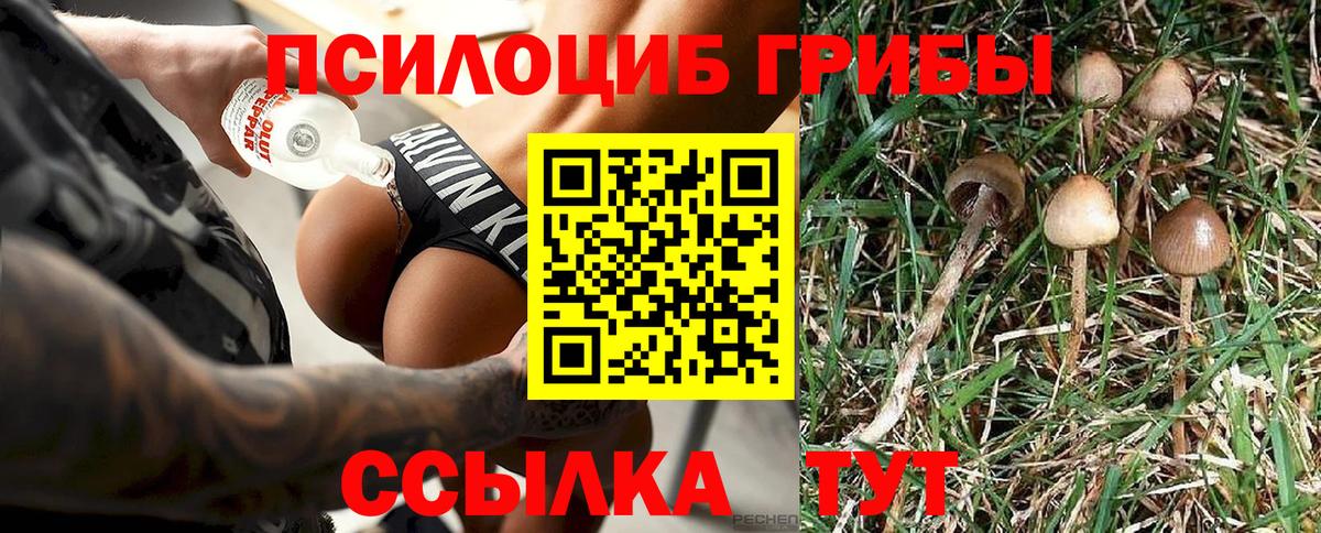 Кропоткин  Галлюциногенные грибы мицелий  Псилоцибиновые грибы прущие грибы  Вход с VPN 