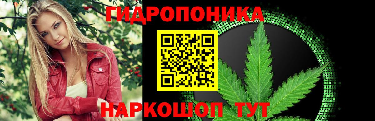 Бошки Шишки марихуана  Канабис индика  Вход с VPN  Шишки марихуана тримм  Кропоткин 